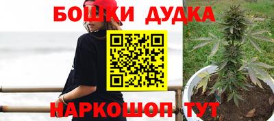 гидра Бузулук