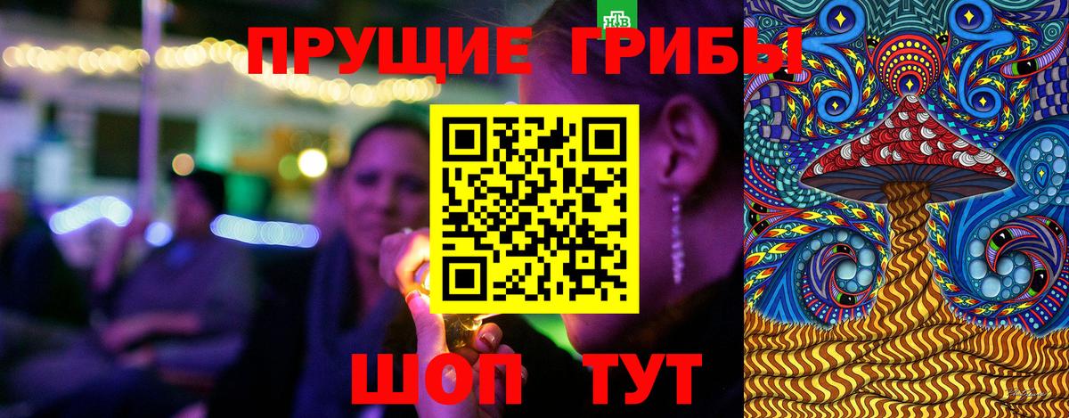 Псилоцибиновые грибы GOLDEN TEACHER  Псилоцибиновые грибы Psilocybine cubensis  Тутаев  Вход с VPN 