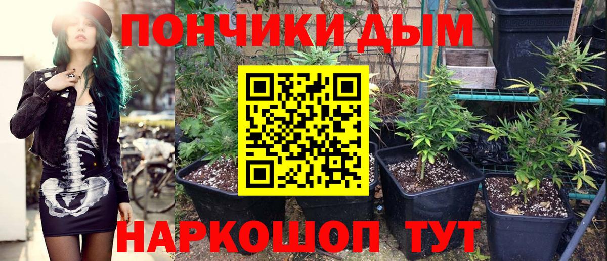 Каннабис White Widow Тутаев